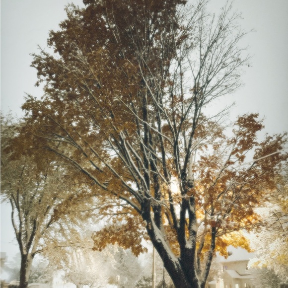 Meet your Posher, Kari - Picture 1 of 1